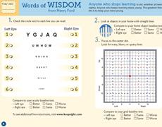 Novel vision test diaries