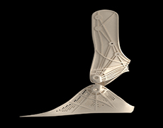 Additive manufacturing of new FlyBand brand exoskeletons