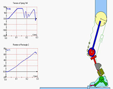 Biomechanics Simulations